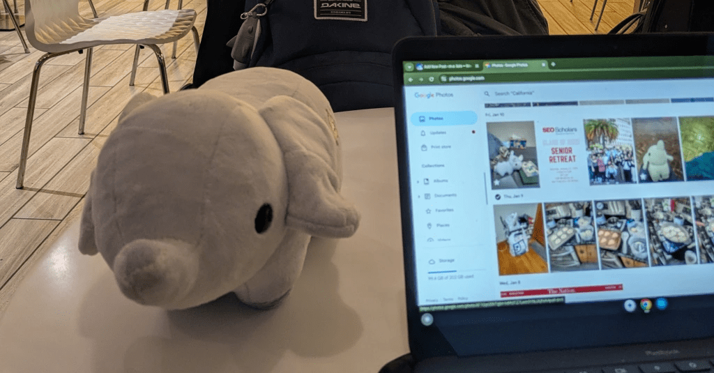 the simple joy of a single&nbsp;bag