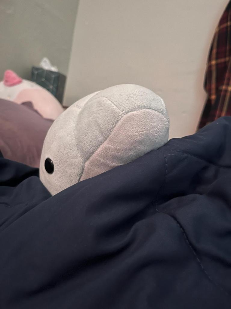 A picture of Doris, my stuffed-animal daughter.